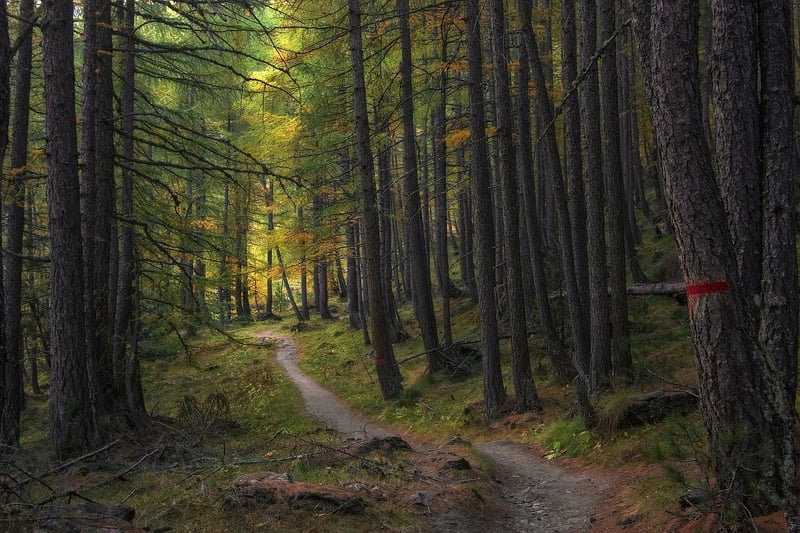 Off-the-grid trails